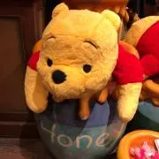 ひまわりの画像