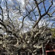 ushiushiの画像
