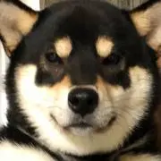 テツの画像