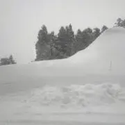 Negaの画像