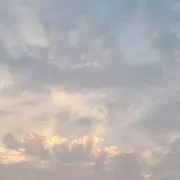 Karinnの画像