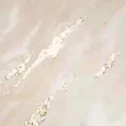 miiの画像