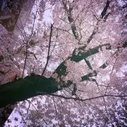 まる◎の画像