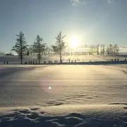 hanamamaの画像