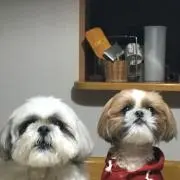 みーあんの画像
