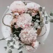m_mamの画像