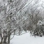 5656ネコ