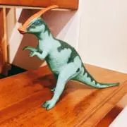 赤毛のケリーの画像