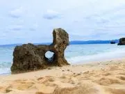 まりも