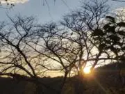 やまちゃんの画像