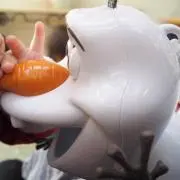 ポン