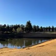 Sakuraの画像