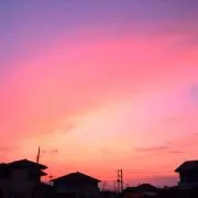 匿名配送sssの画像