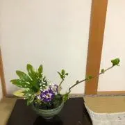 kon0812の画像