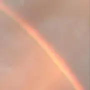 ジョンくんの姉の画像