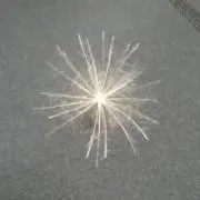 ケセランパサラン