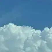 NUPI 値下げ交渉不可の画像