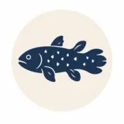 おさしみの画像