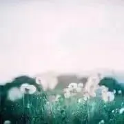 nonの画像