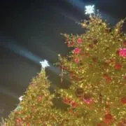 mxmx028の画像