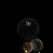 さくたの画像