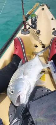 なまらーめんの画像