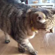 売り切り☻