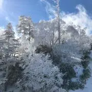 zoddoの画像