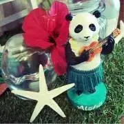 Aloha♪の画像