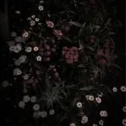 runの画像