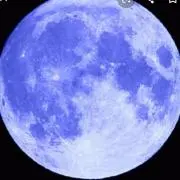 れんの画像
