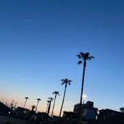 yyy