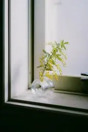 mrkの画像