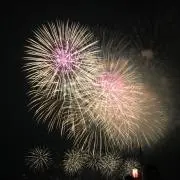 こあらの画像