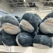 さめさめ(プロフご確認下さい)の画像