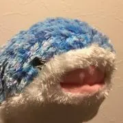 Czの画像