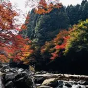 Kizzyの画像