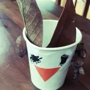 ☆yu-ho☆の画像