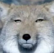 大福