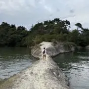 M・Iの画像