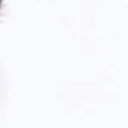 ˚✧₊
