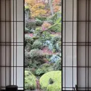 まるる