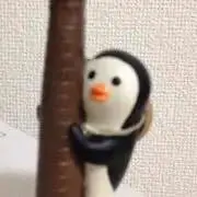 ピコナスの画像