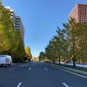 ちゃちの画像