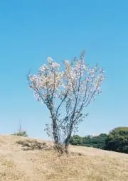 倉庫やの画像