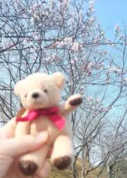 まぁたん