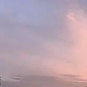 ありさの画像