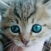 ひじり