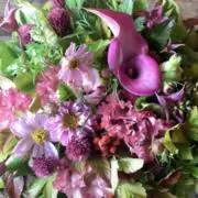 Les fleursの画像
