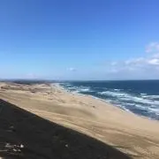 ひで太郎の画像